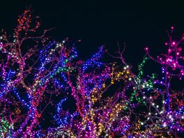 Perschef Ingrid Adriaanse over het ontsteken van de kerstlichtjes.