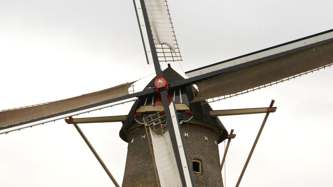 De Wijchense molen krijgt vrijdagmiddag nieuwe zeilen. De huidige vier zeilen zijn dringend aan vervangen toe, na vele jaren van trouwe dienst, zijn ze nu geheel op en is het tijd om ze te gaan vervangen.
