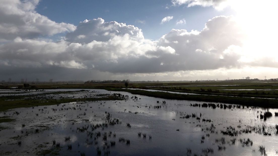 Het Binnenveld.