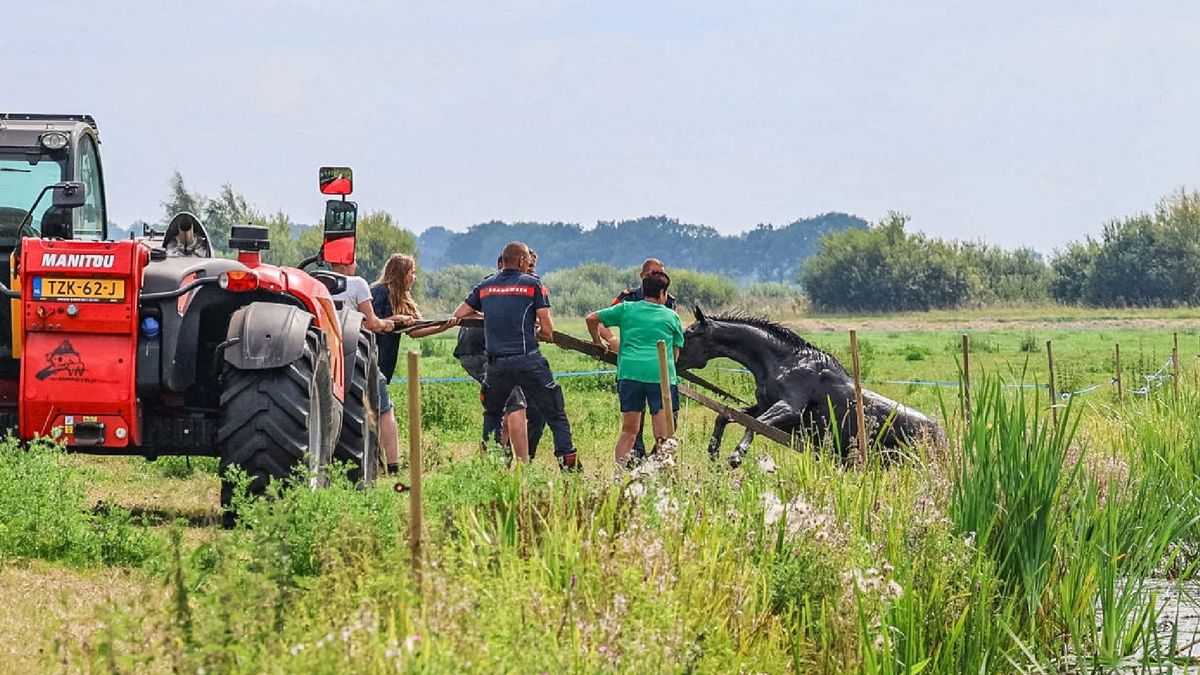 112-nieuws: Minder treinen van en naar Leeuwarden • Slachtoffer steekpartij is Hoogezandster (27)