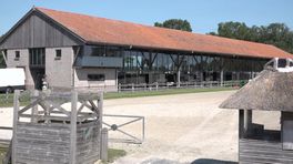 Concours Hippique