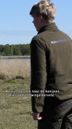 Konijnen op Dwingelderveld