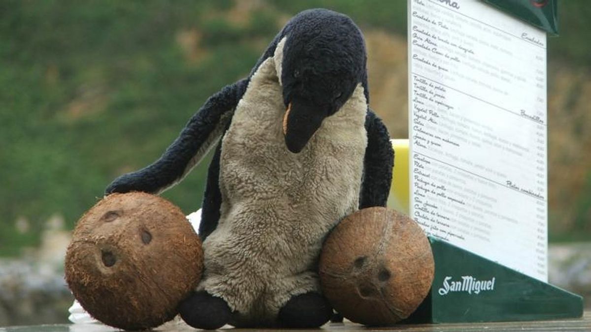 Knuffel Pinki ondanks vele reacties nog spoorloos