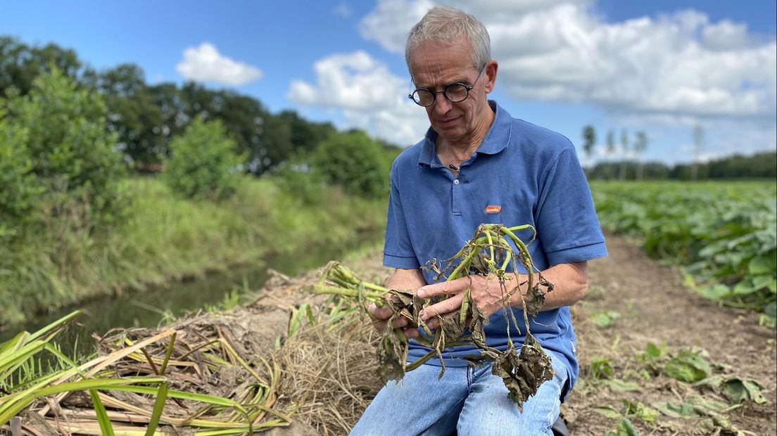 Boer Jan Overesch wil dat het maaibeleid van het waterschap verandert