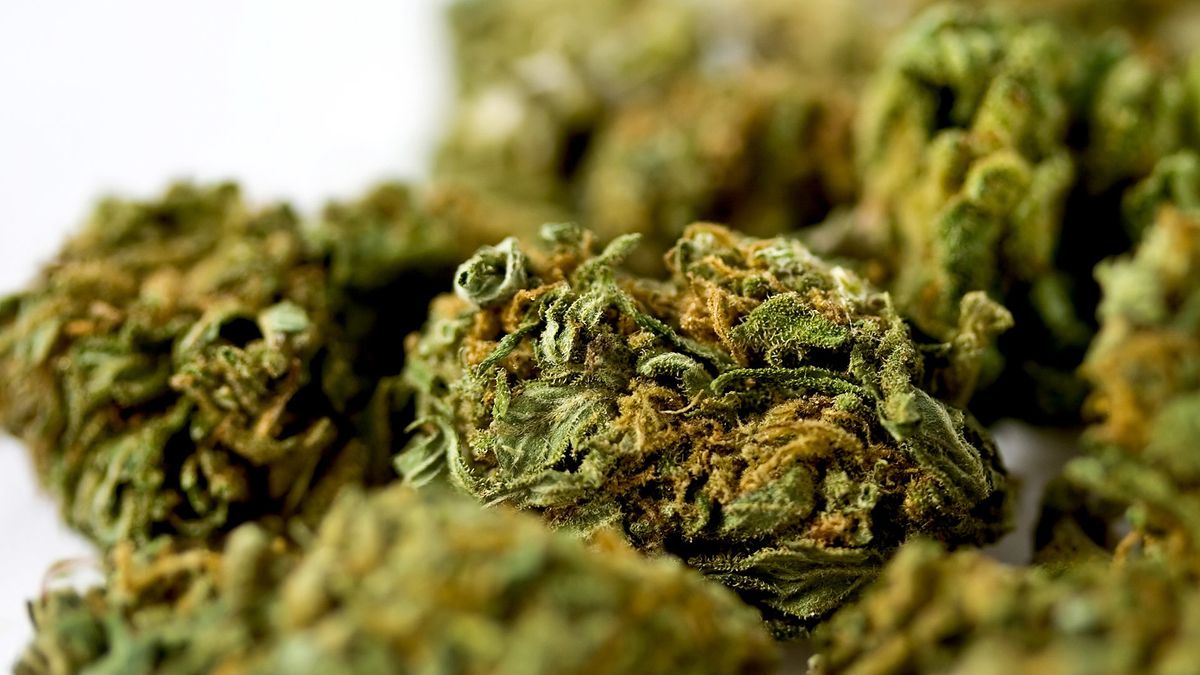 Gemeente sluit woning in Leeuwarden na vondst softdrugs | Neppolitie in Harlingen