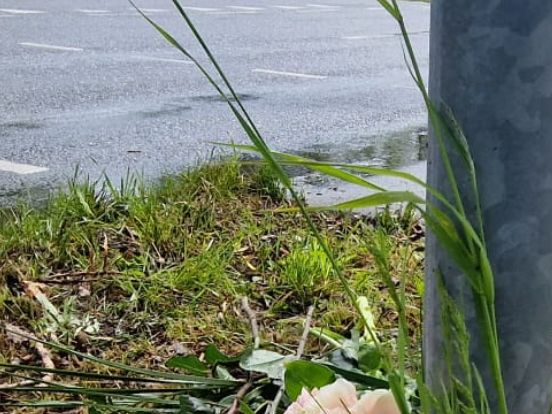 Bloemen bij de oversteekplaats waar dinsdag een vrouw verongelukte.