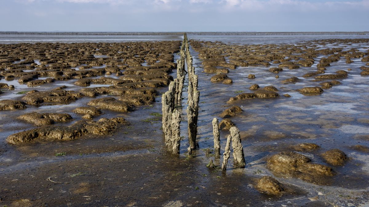 Meerderheid Friezen wil dat gaswinning bij Ternaard wordt verboden