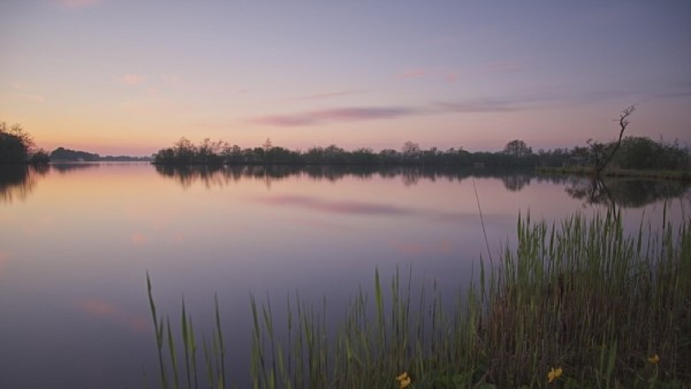 De Alde Feanen krijt der mear as 70 fuotbalfjilden oan natuer by