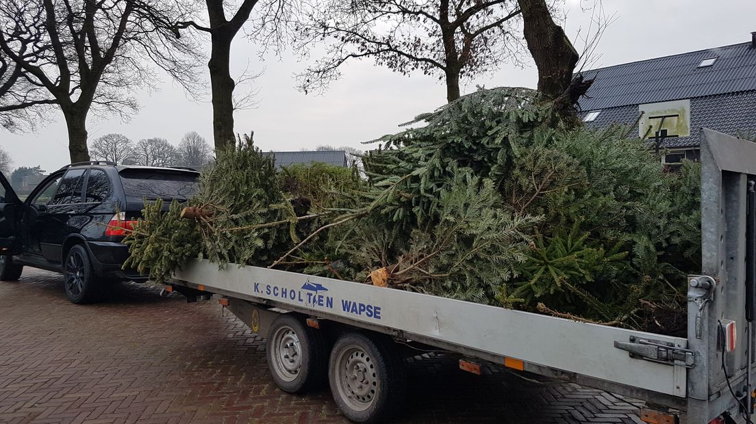 Er moeten nog heel wat bomen op deze wagen (Rechten: Tiffany Frasa/RTV Drenthe)