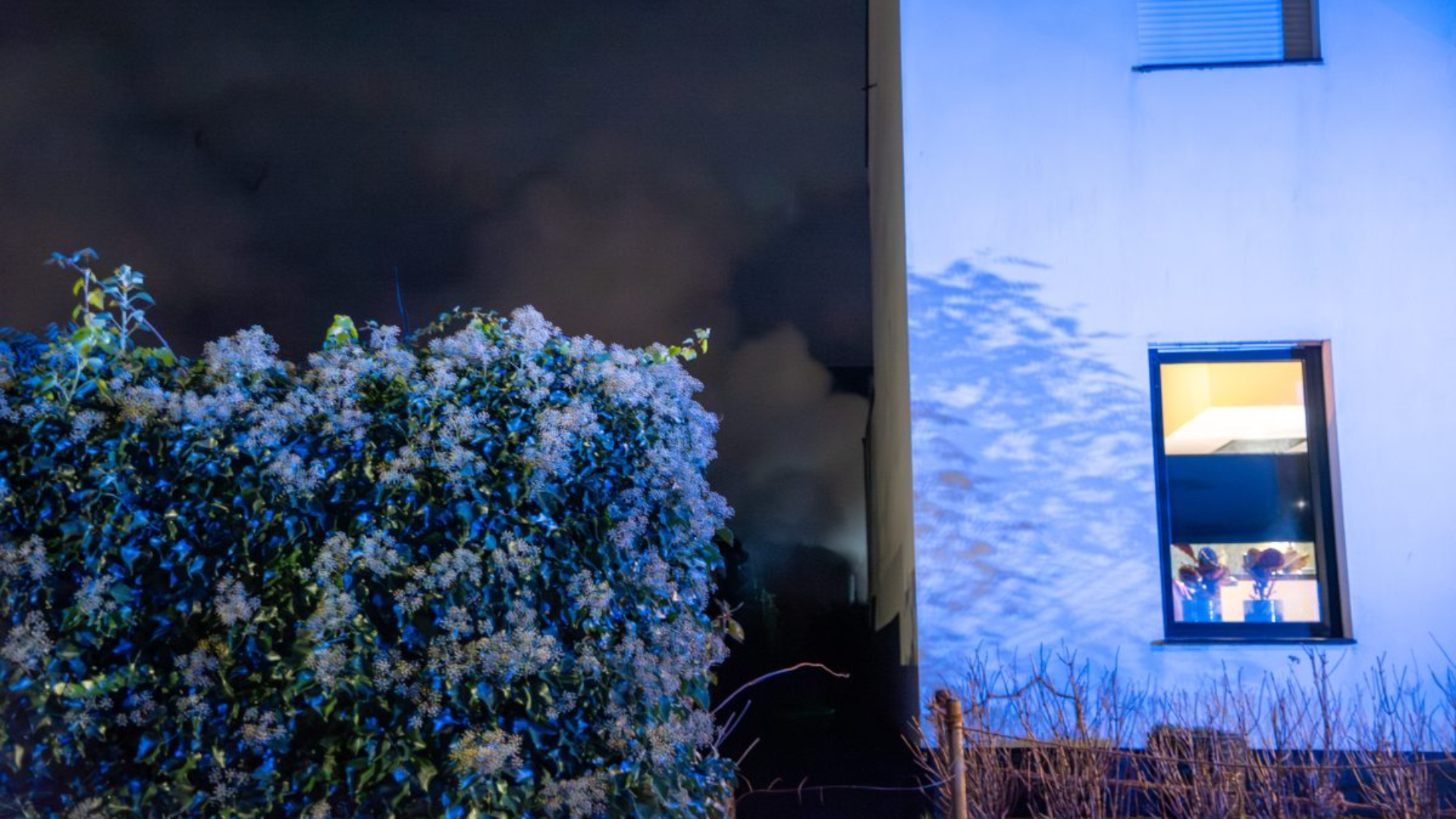 Veel schade bij brand in schuur in Schelluinen