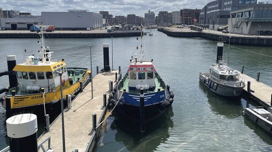 'Scheveningse visserij moet wijken voor woningen', plan Partij voor de Dieren stuit op felle kritiek Home