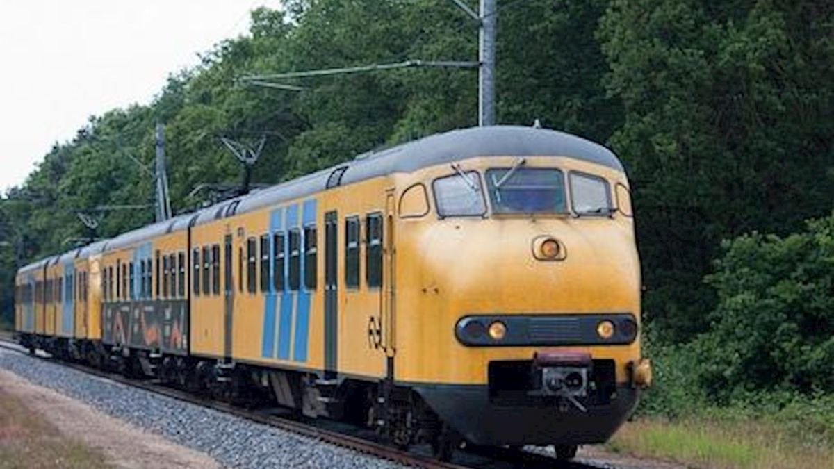 Paard dood na botsing met trein