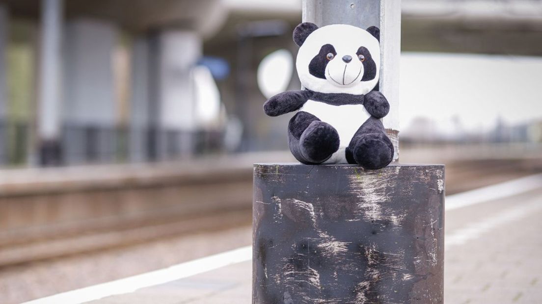 Po de Panda, verloren op station Den Haag.
