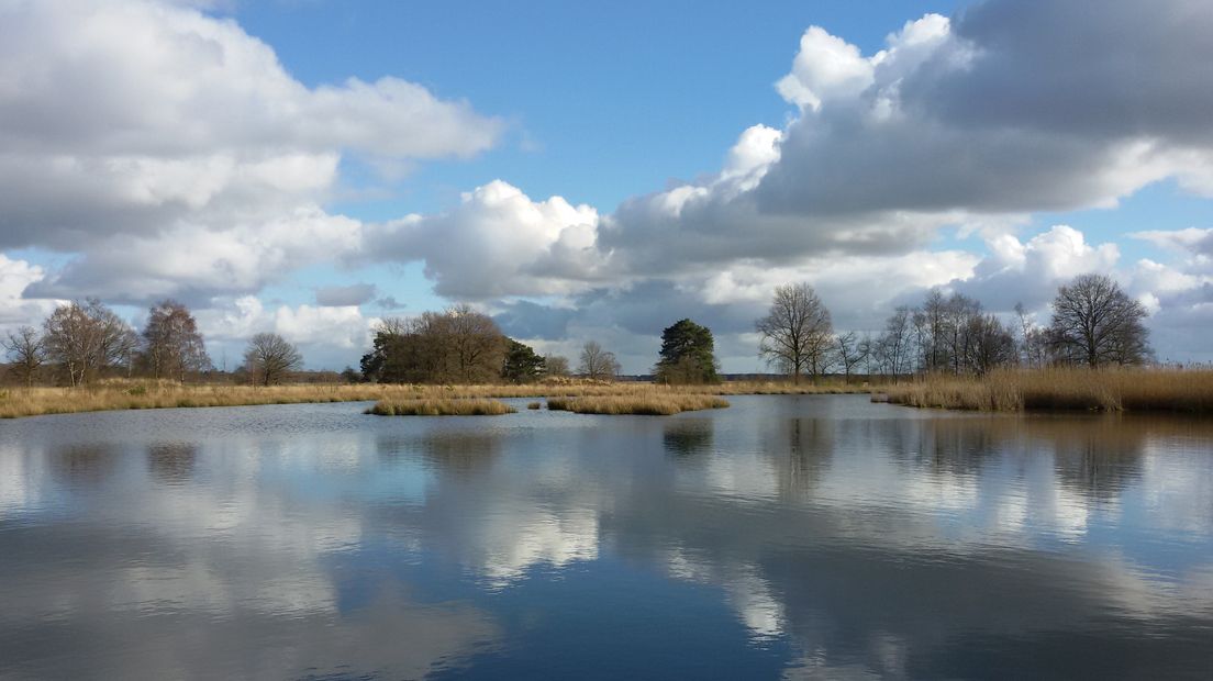 Nationaal Park Dwingelderveld (Rechten: Betsy Koning)