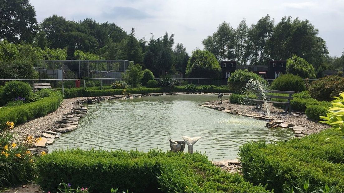 Vogelpark De Lorkeershoeve in Oud Lutten