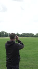 Recordjaar voor de wulp