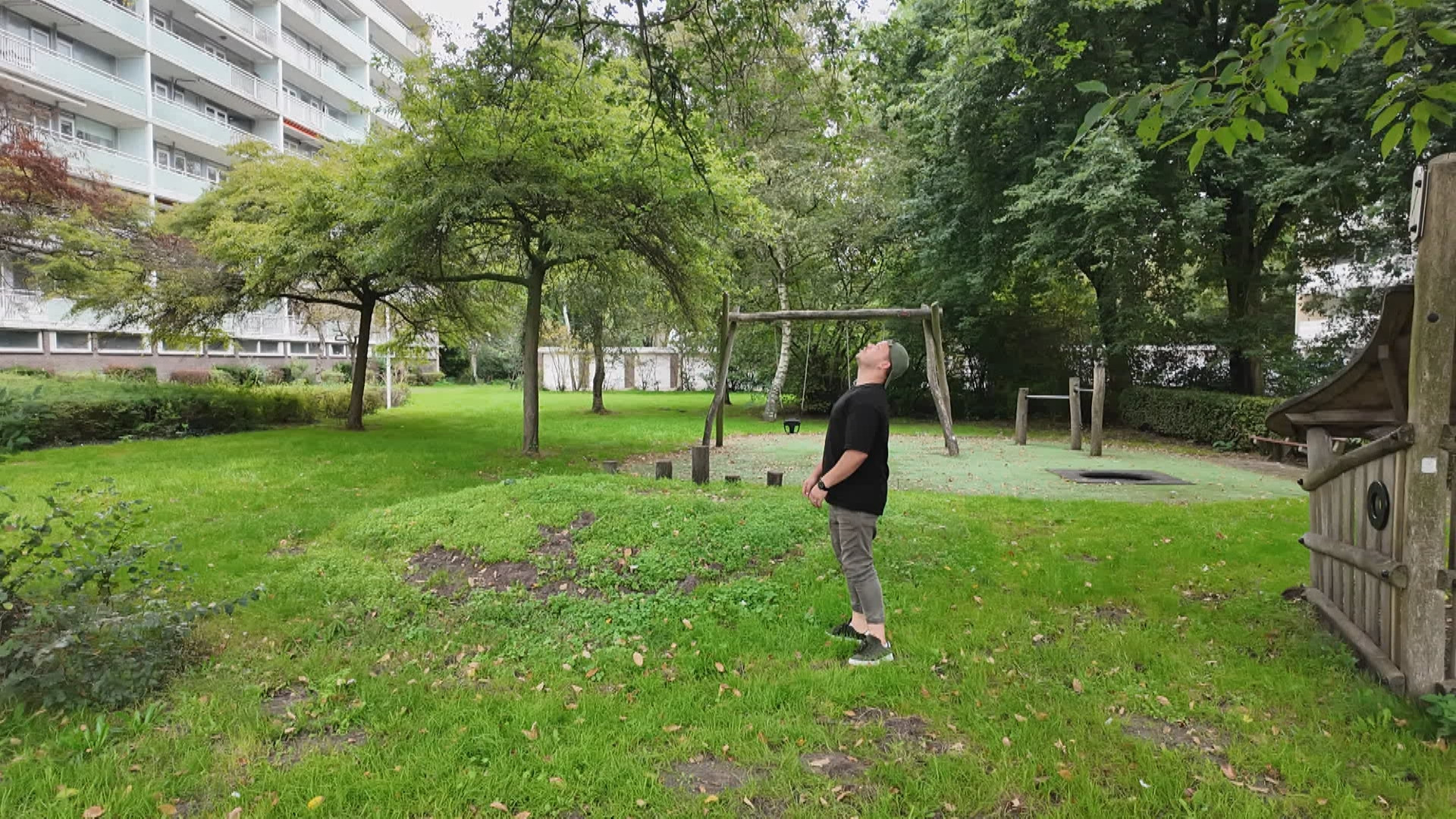 Het hoornaarsnest hangt precies boven de speeltuin