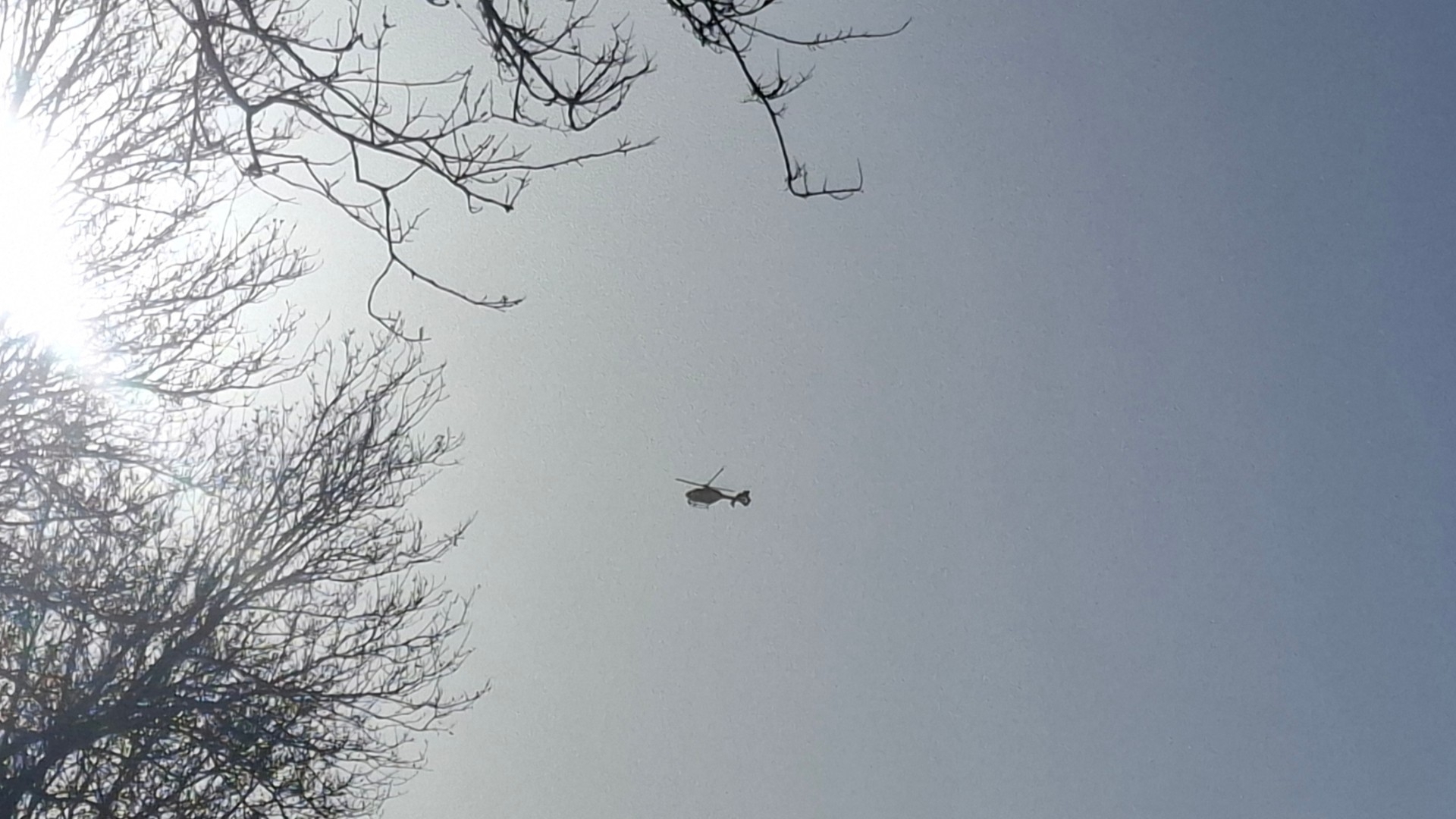 112-nieuws: Vermiste jongen (17) in goede gezondheid aangetroffen • Auto botst op boom in Delfzijl