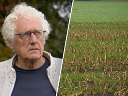 Johan Luiting woont aan het veld waar lelietelers maar al te graag lelies willen verbouwen.