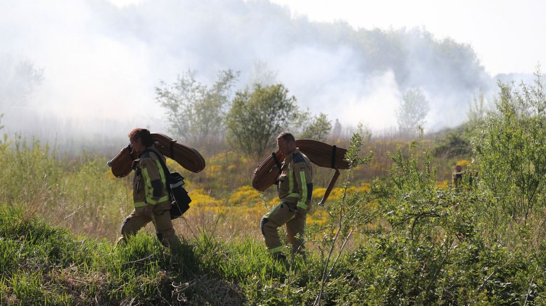 Brand in natuurgebied Zoetermeer