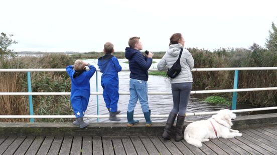 Drie broertjes in actie na aangereden bever: 'Rijd wat rustiger en pas goed op'