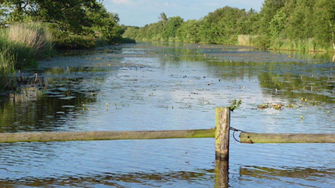 Natuurprojecten in gevaar