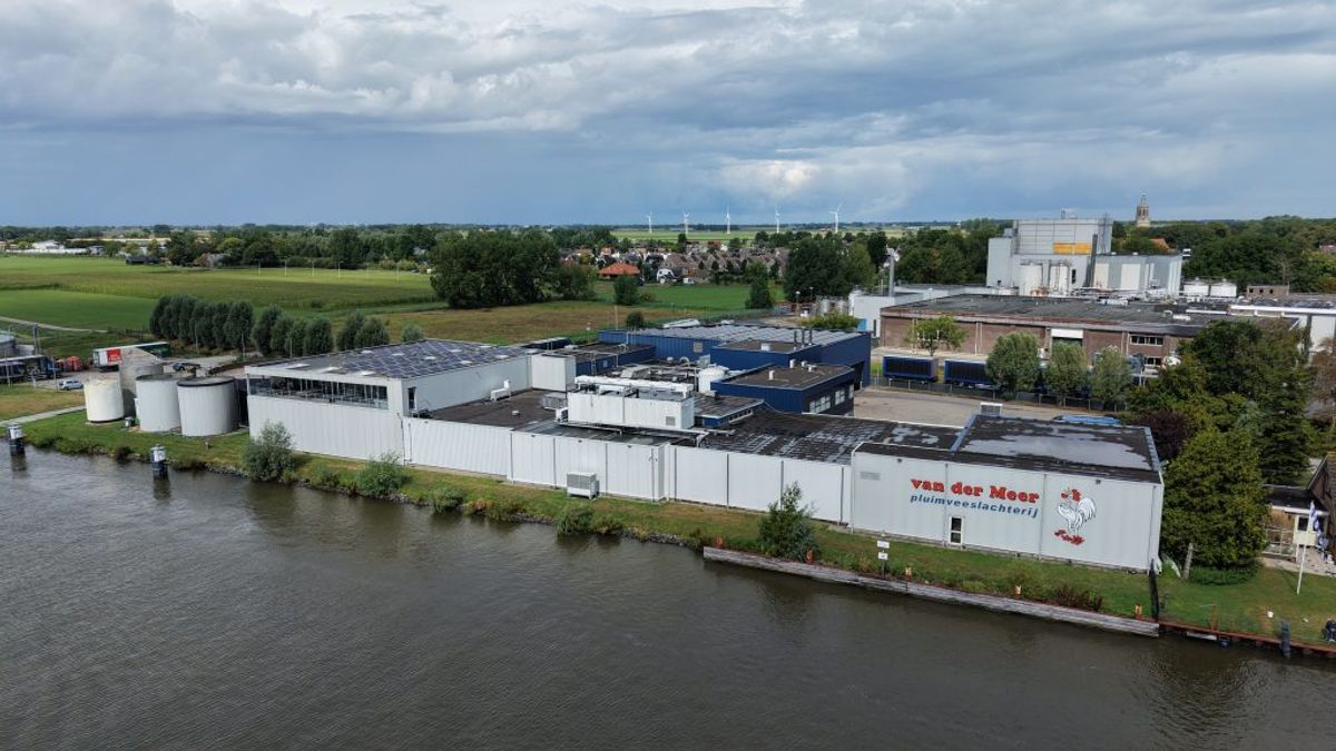 Pluimveeslachterij W. Van der Meer in Dronryp abrupt dicht: 45 werknemers op straat