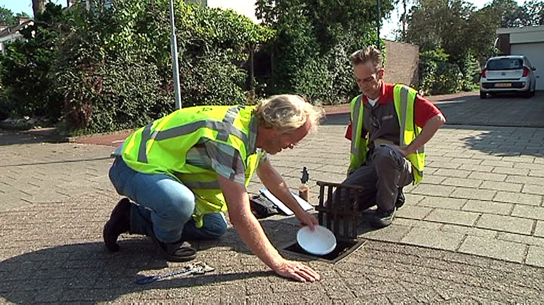 Onderzoek naar de tijgermug in Veenendaal