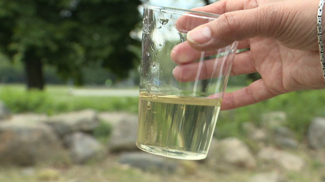 Niet elk water is schoon genoeg om in te zwemmen