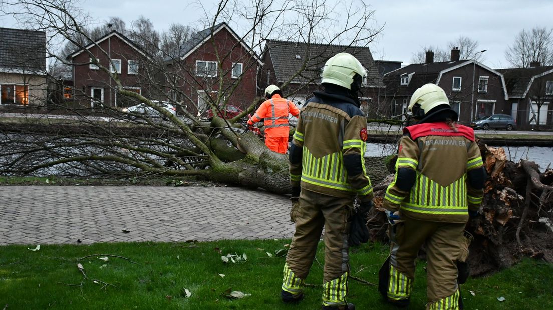 Een boom die viel in kanaal Almelo - De Haandrik, bij Vroomshoop