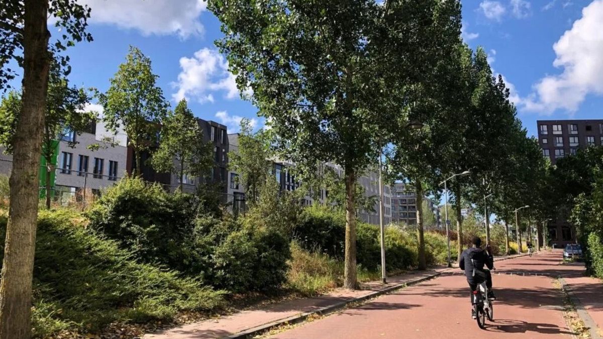 Strijd om 26 populieren nog niet voorbij