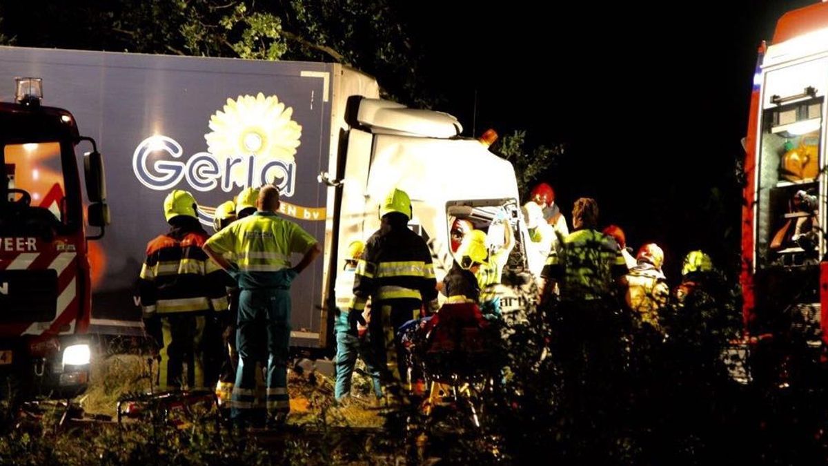 Vrachtwagen ramt boom in Vredepeel, trucker zwaargewond