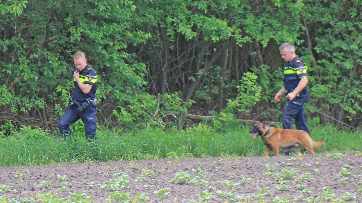 Politie pakt verdachte na klopjacht bij Hooghalen met helikopter en honden [update]