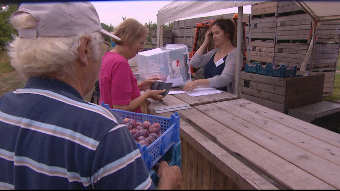 Fruitteler Kees Hamelink kon na een Facebookactie toch nog pruimen verkopen