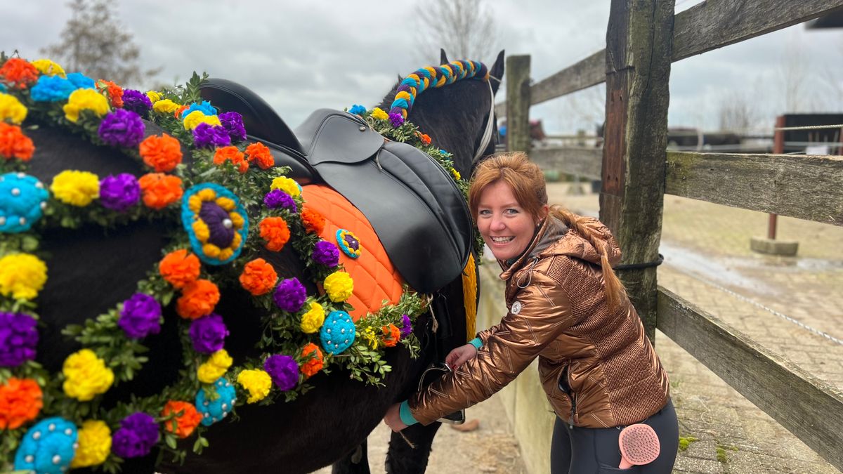 Ingevlochten staarten en kleurrijke manen: alles uit de kast voor Straô
