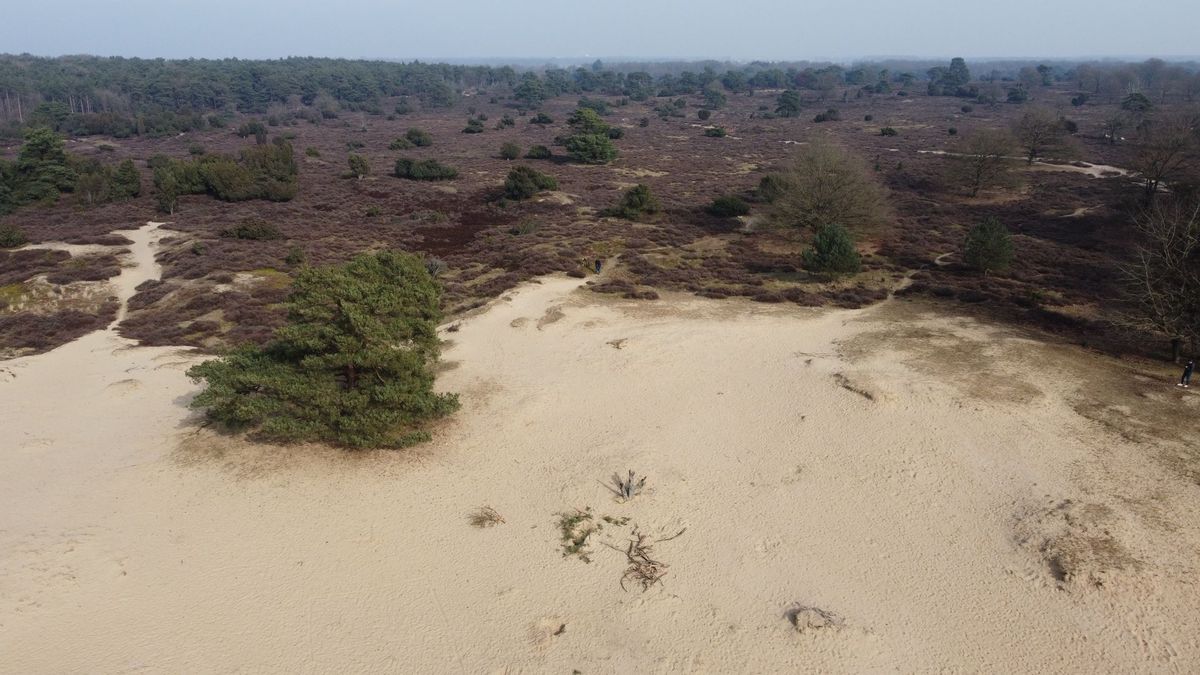 Dit weekend in de Drentse natuur: 4 en 5 maart