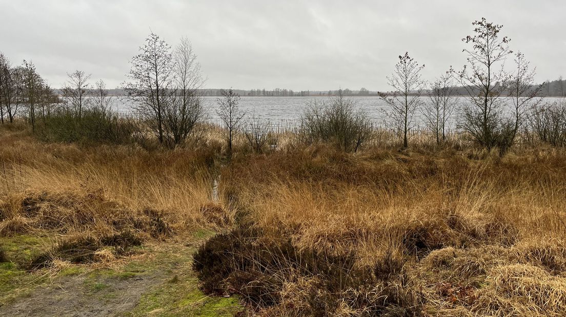 Het pingomeer Esmeer in het Fochteloërveen