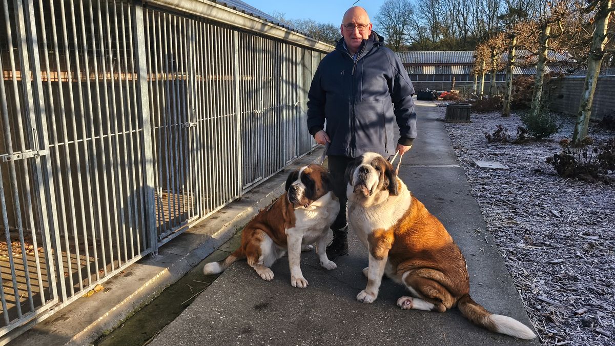 Stressvrije jaarwisseling voor dieren in pension
