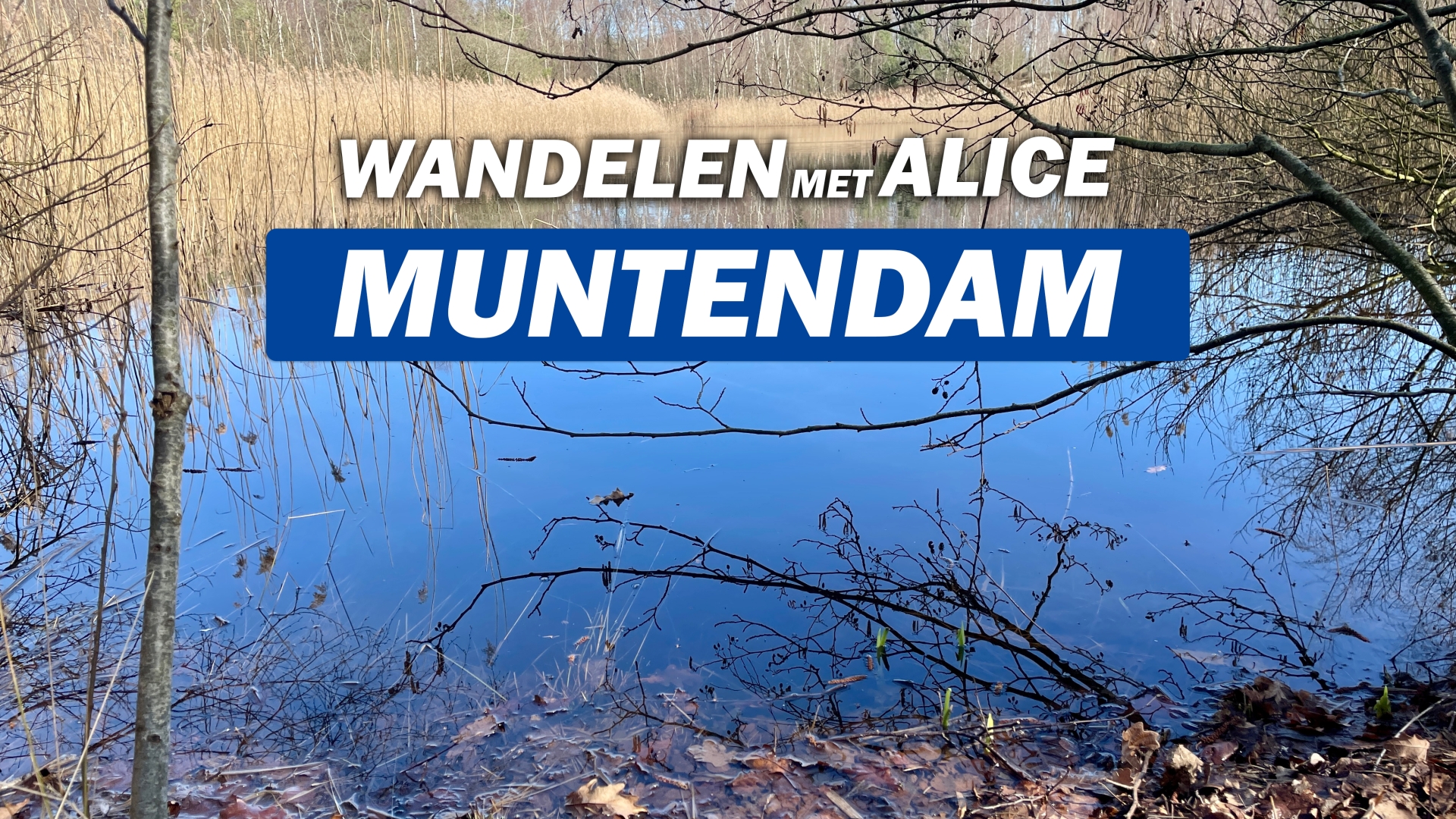 Nieuws