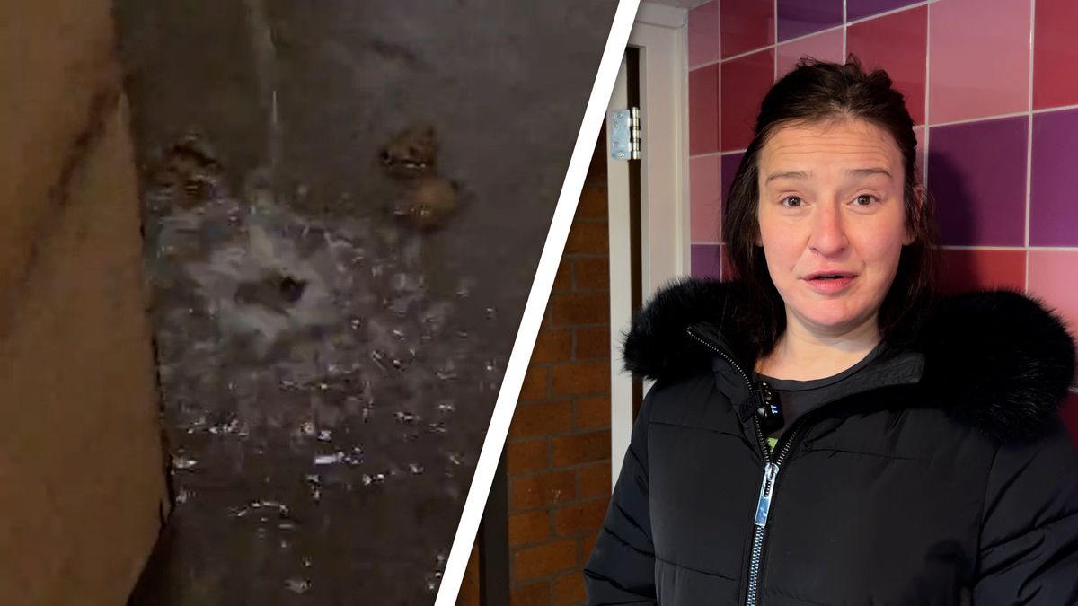 Drollen drijven door berging in Overvecht, kapotte riolering zorgt voor wanhopige bewoners