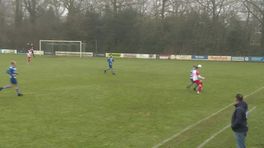 Ruinen knokt zich in degradatiekraker langs Dalen