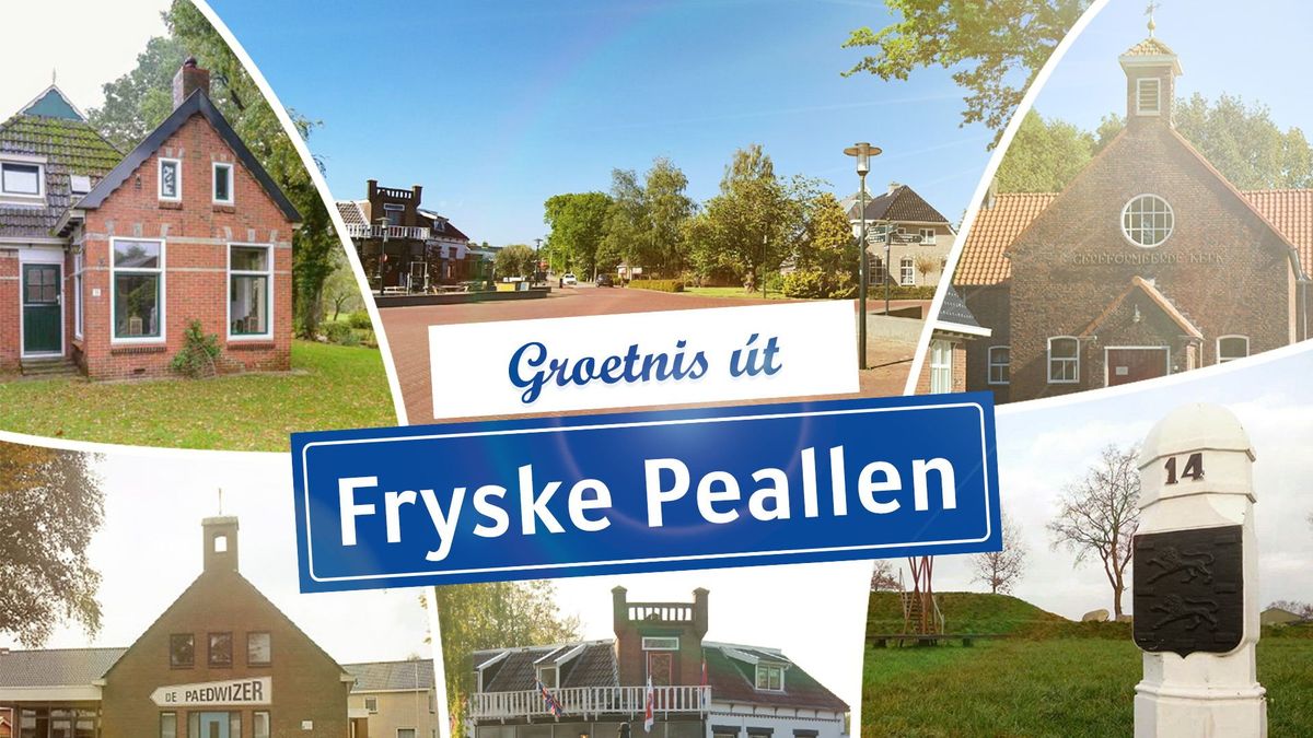 'Simmer yn Fryslân': op de wijngaard in Frieschepalen