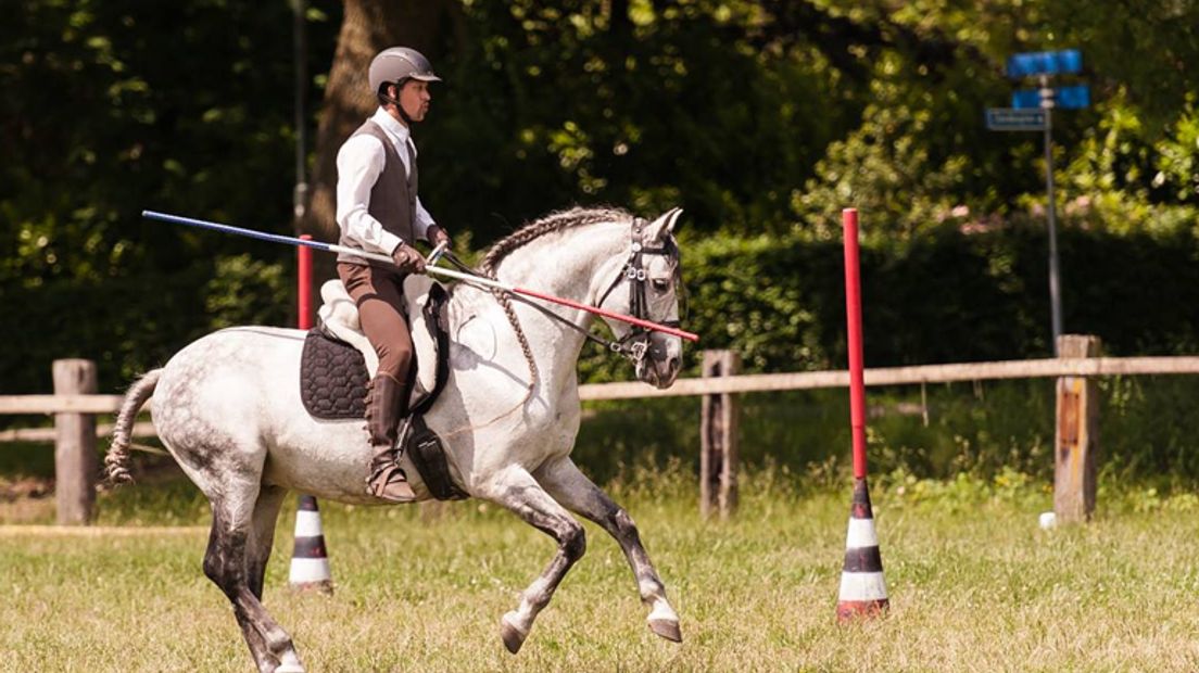Bij working equitation moet onder meer een obstakelparcours verreden worden (Rechten: Facebook / Working Equitation Holland)