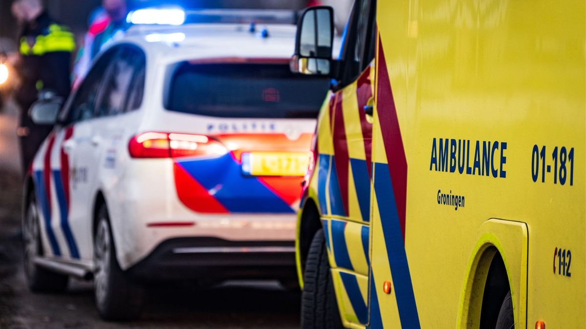 Automobilist rijdt tegen verkeersbord in Nieuwdorp, met spoed naar ziekenhuis
