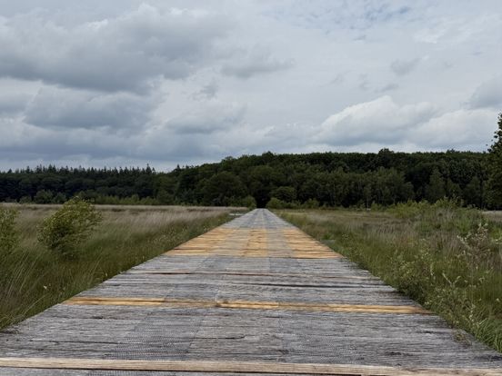 Fietsers en voetgangers kunnen weer over vlonderpad Grolloërveen