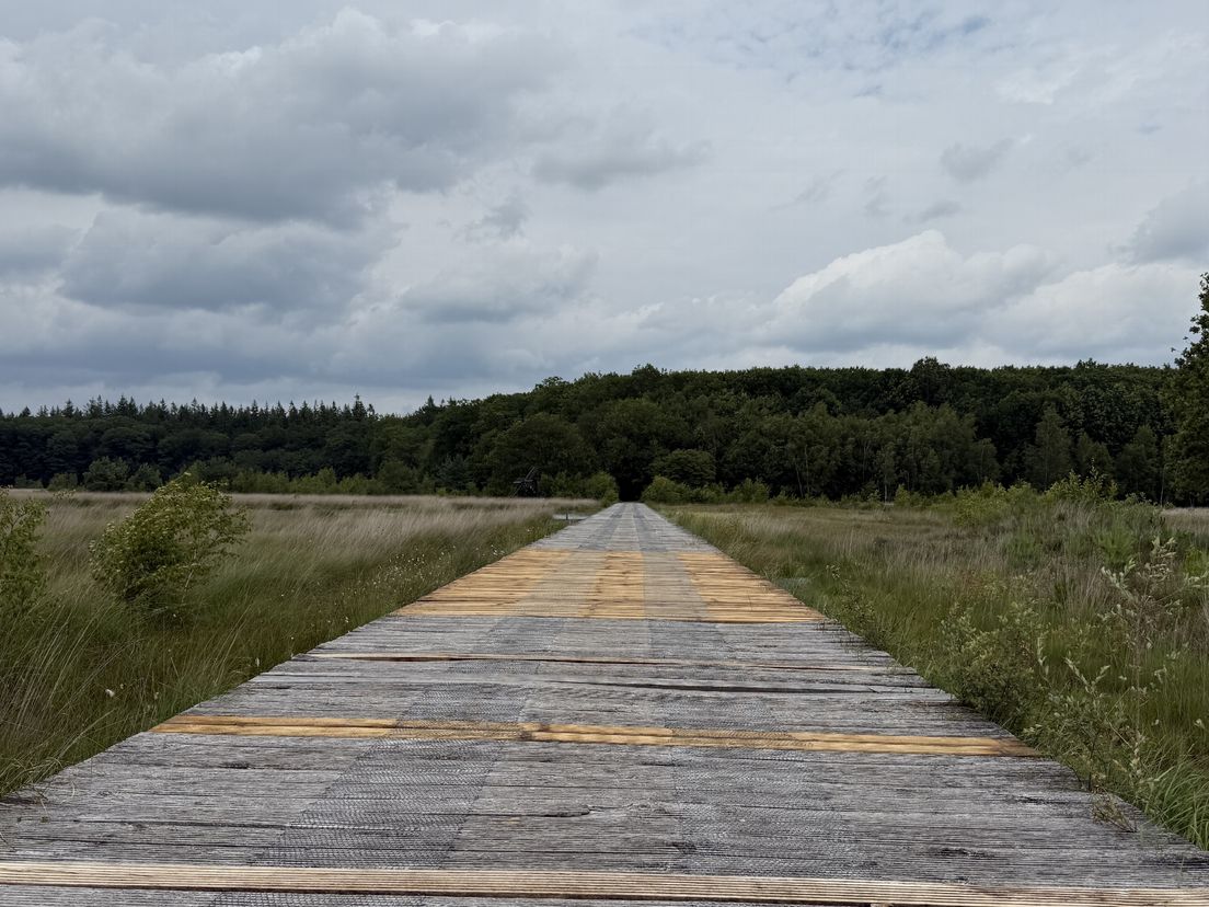 Fietsers en voetgangers kunnen weer over vlonderpad Grolloërveen