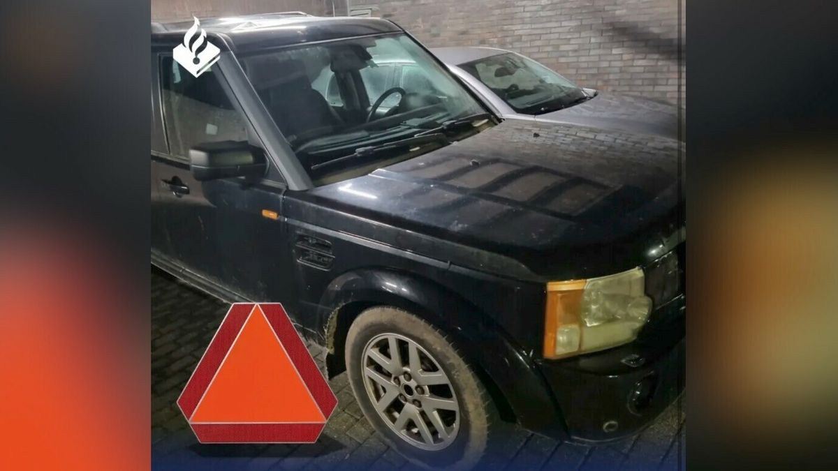 Omgebouwde auto rijdt met 137 km/u door Wierum | Feanwâldster (64) mishandelt jonge hond