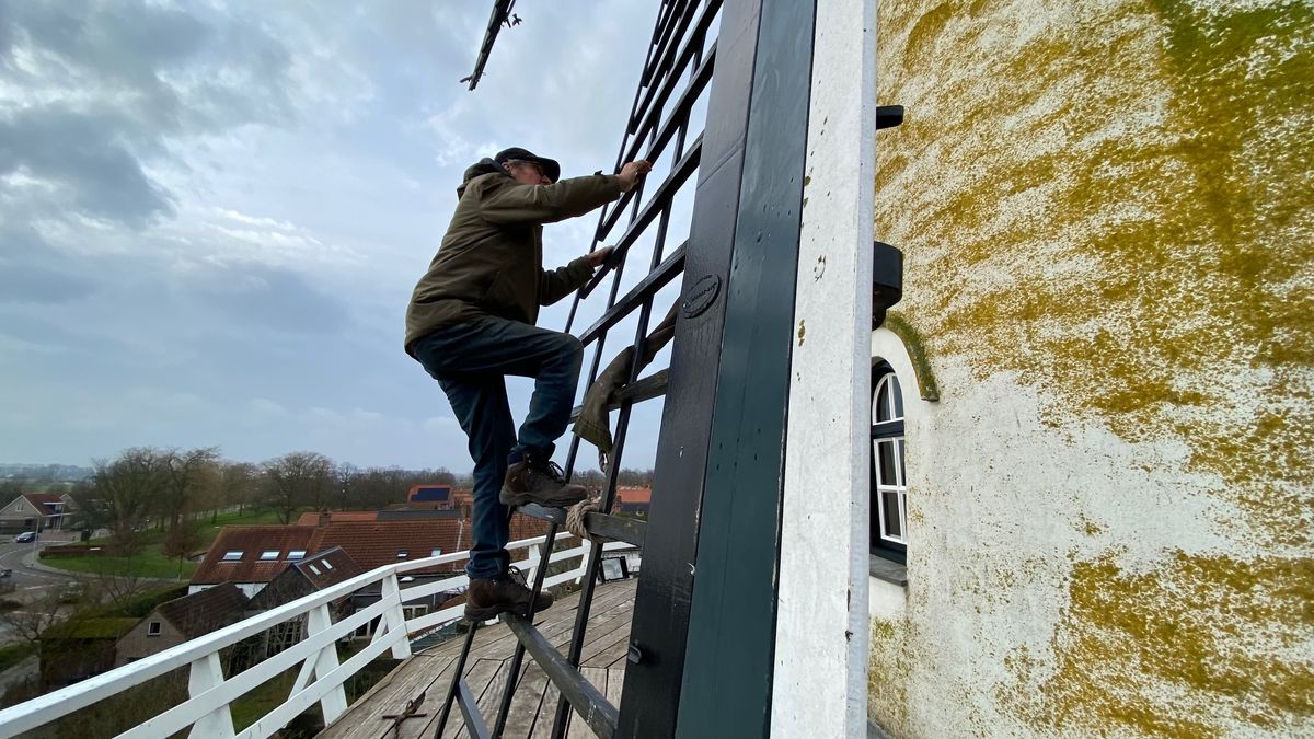 80-jarige molenaar Ton Koops stopt: 'De jeugd mag het nu doen'