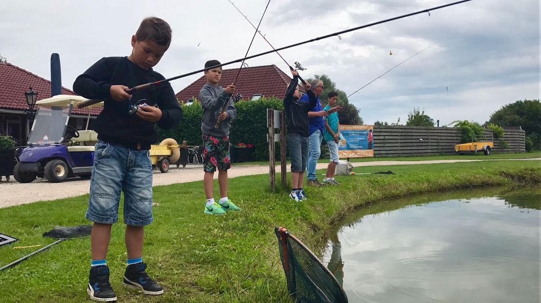 Zomer in OV: Forelvissen en een verwenmiddag