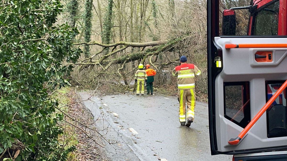 Het regent meldingen over stormschade in heel Limburg